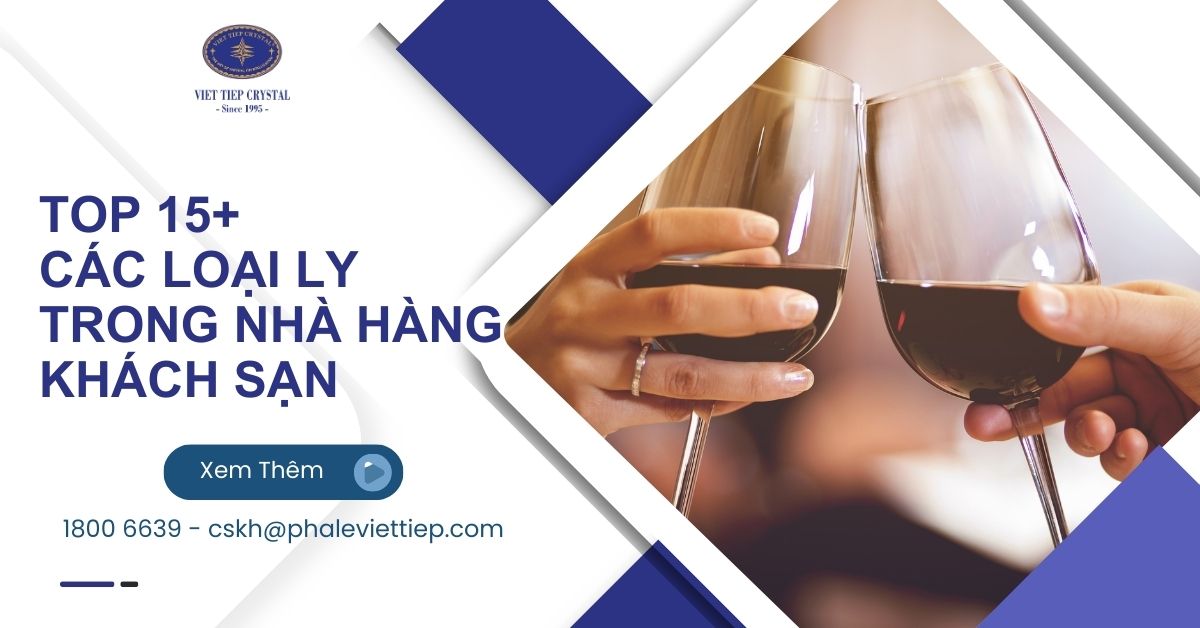 Top 15+ các loại ly trong nhà hàng, khách sạn phổ biến nhất