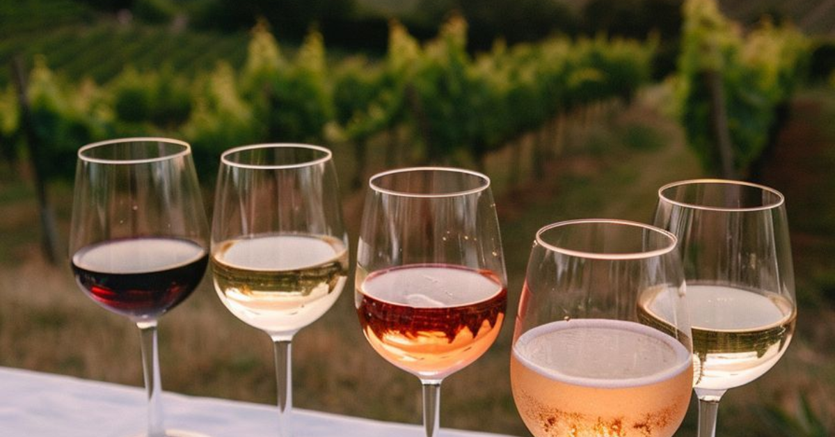 Các tiêu chí chọn ly rượu vang phù hợp