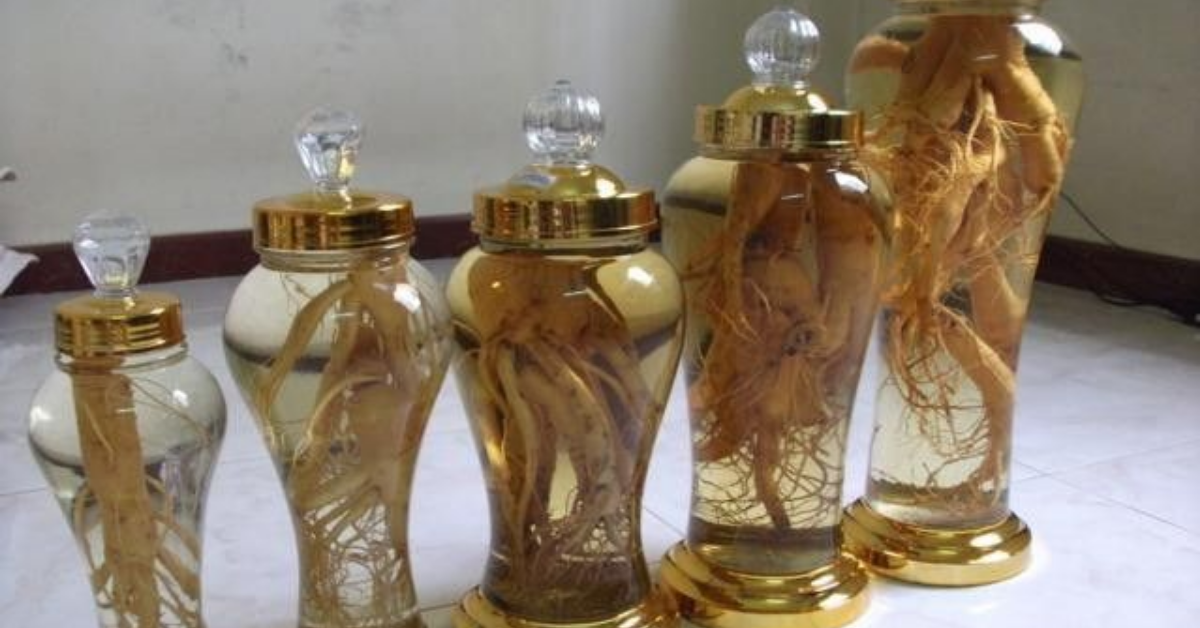 Lưu ý Khi sử dụng bình ngâm rượu Thủy Tinh