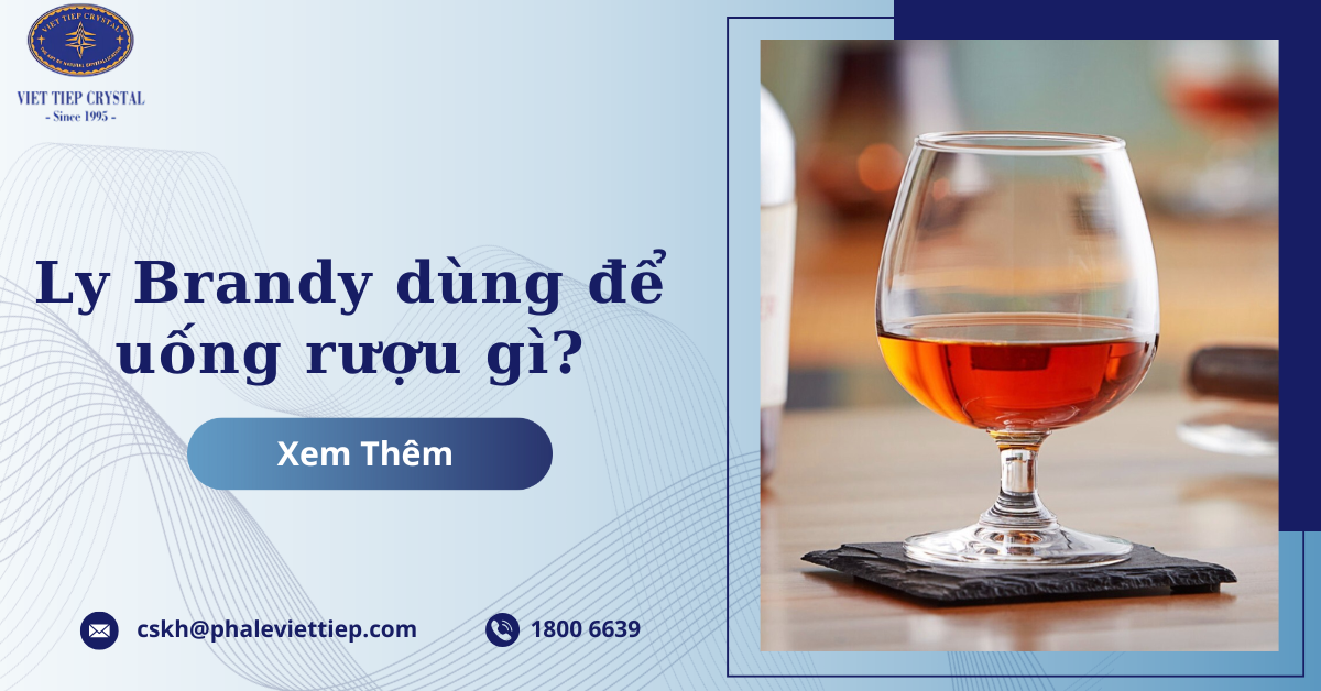 Ly Brandy dùng để uống rượu gì