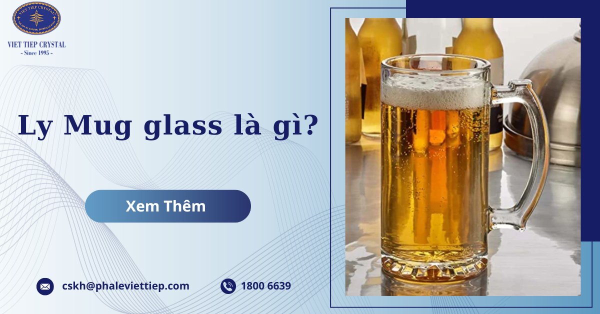 Ly Mug glass là gì?